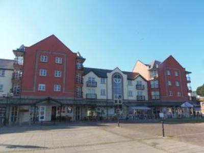 Annonce Location Appartement Exeter