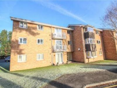 Annonce Location Appartement Ascot