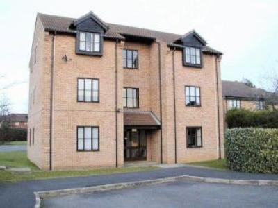 Annonce Location Appartement St-neots