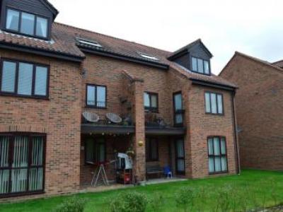 Annonce Location Appartement Norwich