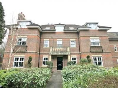 Annonce Location Appartement Ascot