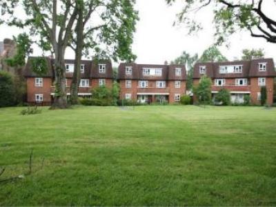 Annonce Location Appartement Beckenham