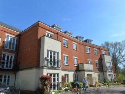 Annonce Location Appartement Southampton