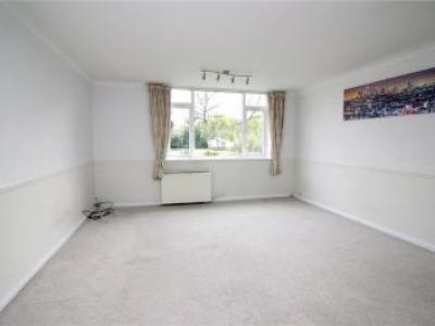 Annonce Location Appartement Borehamwood