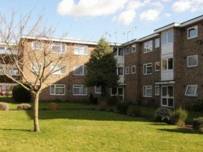 Annonce Location Appartement Coventry