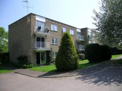 Annonce Location Appartement Hitchin