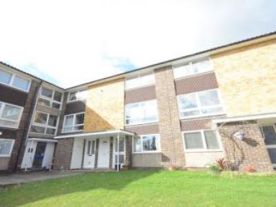 Annonce Location Appartement Bracknell