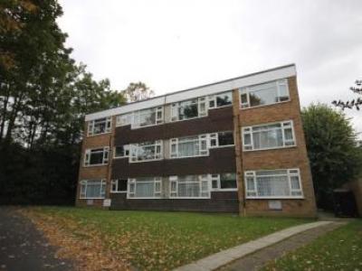 Annonce Location Appartement South-croydon