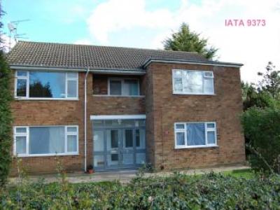 Annonce Location Appartement Borehamwood