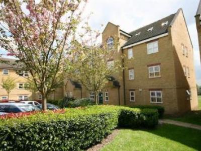 Annonce Location Appartement Enfield