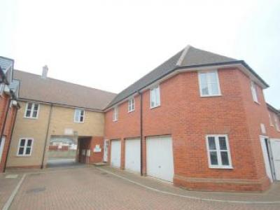 Annonce Location Appartement Colchester