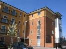 Annonce Location Appartement WATFORD