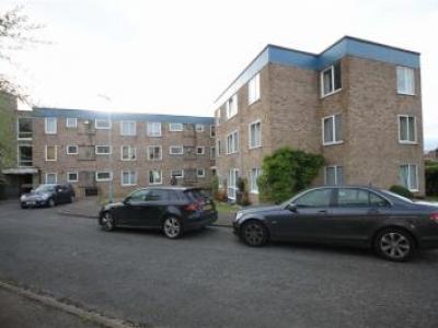 Annonce Location Appartement Cambridge