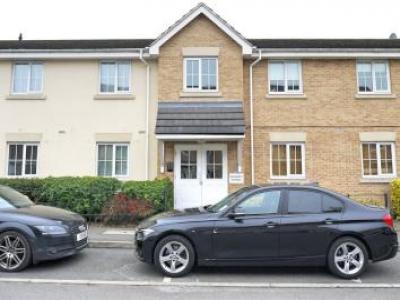 Annonce Location Appartement Borehamwood