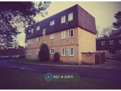 Annonce Location Appartement Sandhurst