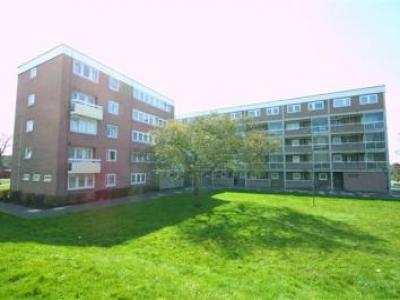 Annonce Location Appartement Southampton