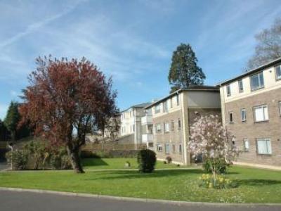 Annonce Location Appartement Bristol