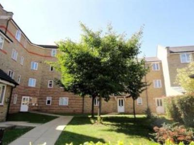 Annonce Location Appartement Chelmsford