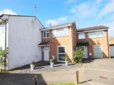 Annonce Location Maison Chelmsford