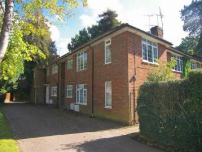 Annonce Location Appartement Tunbridge-wells