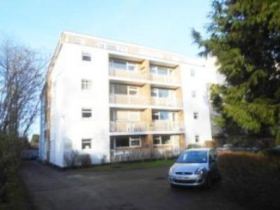 Annonce Location Appartement Cheltenham