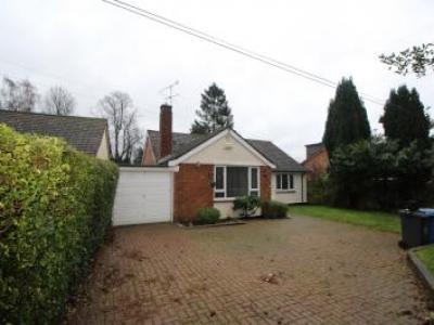 Annonce Location Maison Ipswich