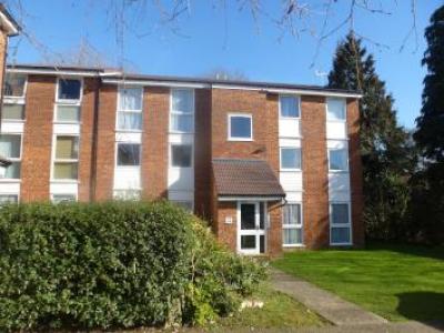 Annonce Location Appartement Hemel-hempstead