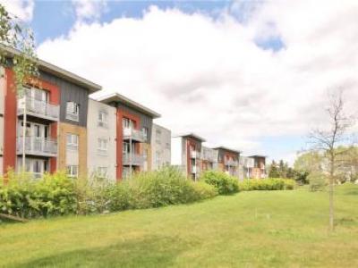 Annonce Location Appartement Twickenham