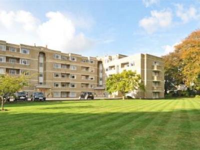 Annonce Location Appartement Cheltenham