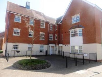 Annonce Location Appartement Ipswich