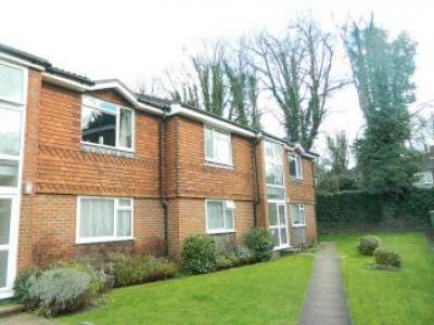 Annonce Location Appartement Leatherhead