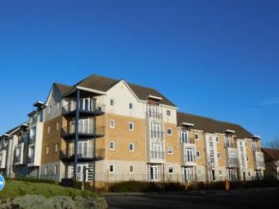 Annonce Location Appartement North-shields