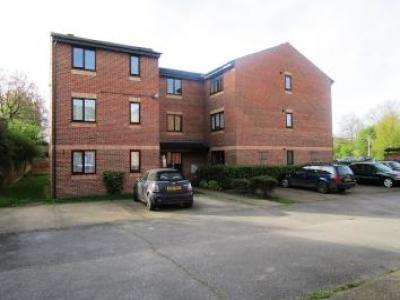 Annonce Location Appartement Hertford