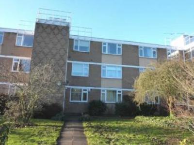 Annonce Location Appartement Borehamwood