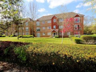 Louer Appartement Crawley rgion REDHILL