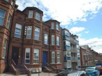 Annonce Location Appartement Belfast