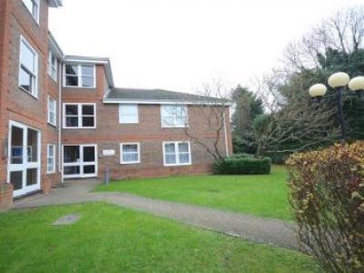 Annonce Location Appartement Bracknell