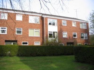 Annonce Location Appartement Norwich