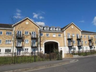 Annonce Location Appartement Southampton