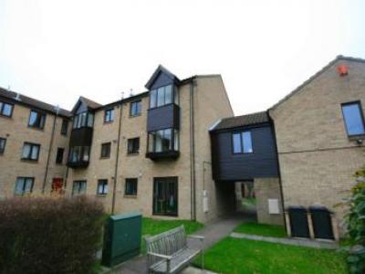 Annonce Location Appartement Norwich