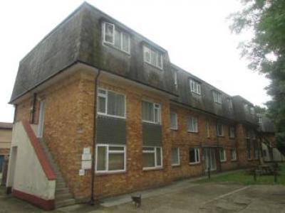 Annonce Location Appartement Hayling-island