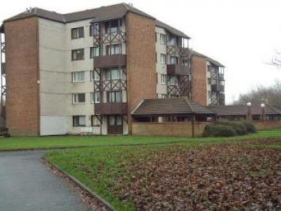 Annonce Location Appartement North-shields