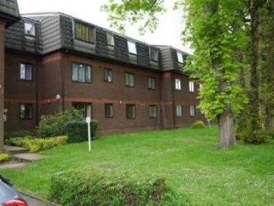 Annonce Location Appartement Enfield