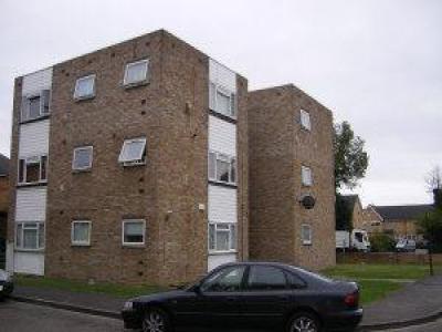 Annonce Location Appartement Hounslow