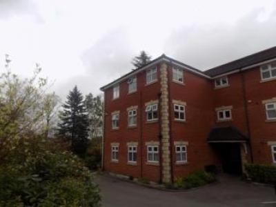 Annonce Location Appartement Bolton