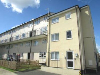 Annonce Location Appartement Borehamwood