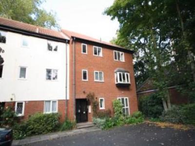 Annonce Location Appartement Norwich