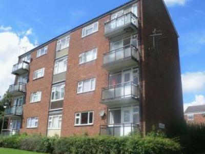 Annonce Location Appartement Coventry