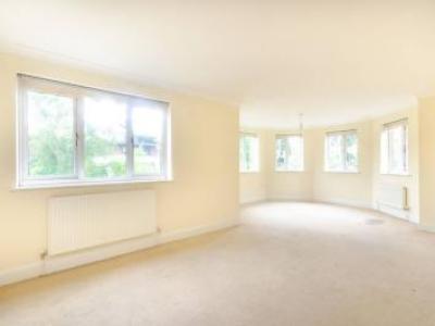 Annonce Location Appartement Beckenham