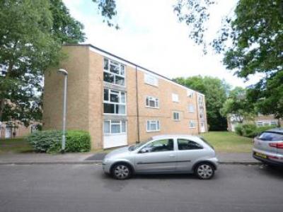 Annonce Location Appartement Bracknell